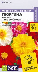 Георгина Фигаро Смесь махровая/Сем Алт/цп 5 шт.