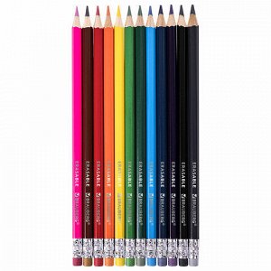 Карандаши цветные стираемые с ластиком BRAUBERG ERASABLE, 12 цветов, мягкий грифель 3 мм