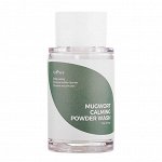 Энзимная пудра с полынью IsNtree Mugwort Calming Powder Wash