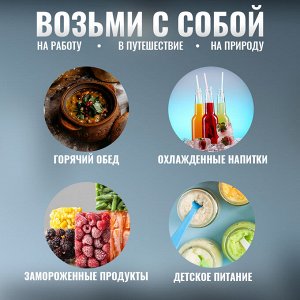 Термосумка для ланч бокса детская / дорожная сумка холодильник