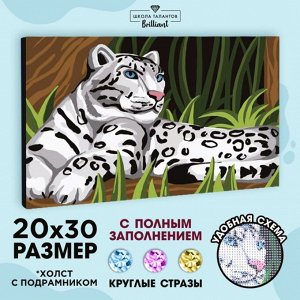 Алмазная мозаика на раме с полным заполнением «Снежный барс», 20х30 см