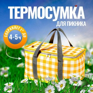 Термосумка для пикника, сумка для еды и напитков,14 л, 20х20х35