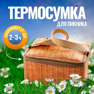 Термосумка для пикника, сумка для еды и напитков, 22 х 14 х 12 см.