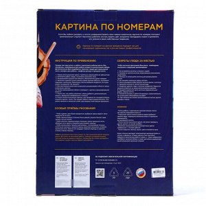 Картина по номерам на картоне 28,5 x 38 см «Павлин»