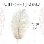 Перо для декора, размер: 25-30 см, цвет белый
