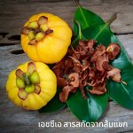 Гарциния Камбоджийская сушеная кусочки 50 гр