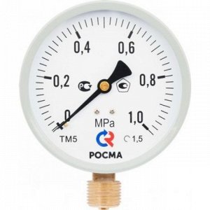 Манометр РОСМА ТМ-510P 10M2 100х1/2 10 бар,нижнее подкл.