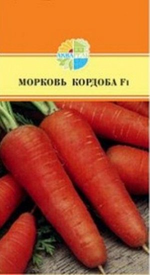 Морковь 0,3 гр в упаковке
	Шантенэ, 90-115 дней. Длина 14-18 см, вес 120-300 гр.