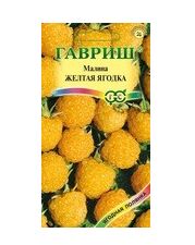 Малина Жёлтая ягодка ЦВ/П (ГАВРИШ) 10шт скороплодный кустарник до 2м