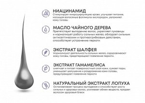Алерана шампунь для мужчин ежедневный уход 250мл
