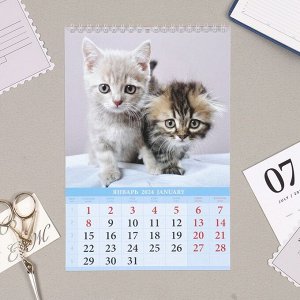 Календарь на пружине без ригеля "Котята" 2024 год, 17х25 см