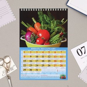 Календарь на пружине без ригеля "Садово-огородный лунный" 2024 год, 17х25 см