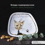 Блюдо фарфоровое сервировочное «Коты-аристократы», 16?13,5 см