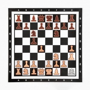 Шахматы демонстрационные 60x60 см, магнитная доска