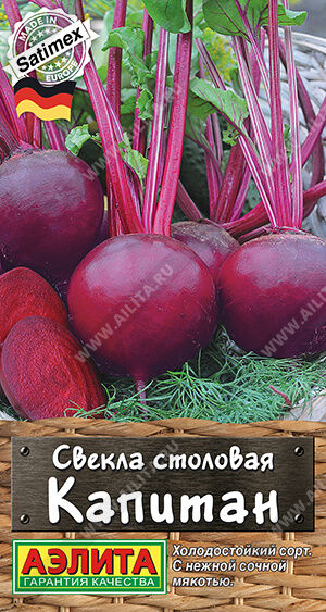 Свекла столовая Капитан