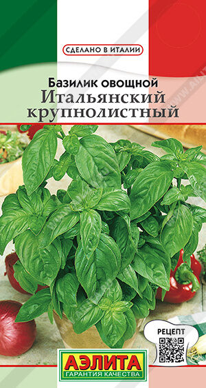 Базилик овощной Итальянский крупнолистный