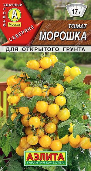 Томат Морошка