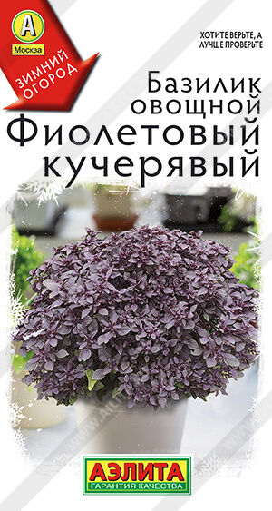 Базилик овощной Фиолетовый кучерявый