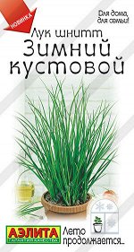Лук шнитт Зимний кустовой (Код: 90940)