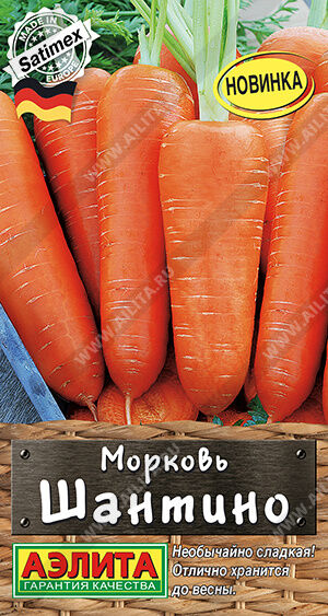 Морковь Шантино