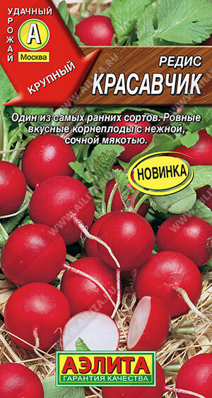 Редис Красавчик
