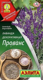 Лаванда декоративная Прованс