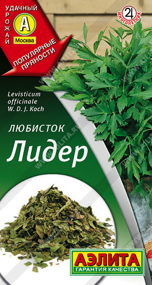 Любисток Лидер