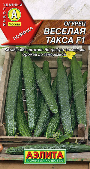 Огурец Веселая такса F1