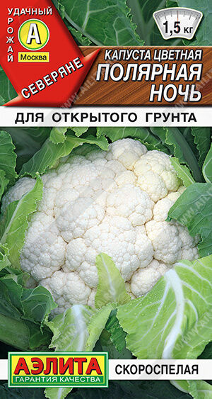 Капуста цветная Полярная Ночь (Код: 91704)