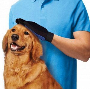 Перчатка для мытья собак