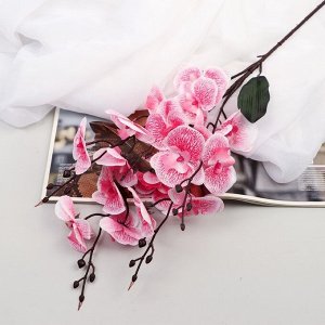 Цветы искусственные "Орхидея фаленопсис" 8х80 см, розовый микс
