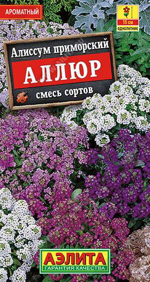 Алиссум Аллюр, смесь сортов