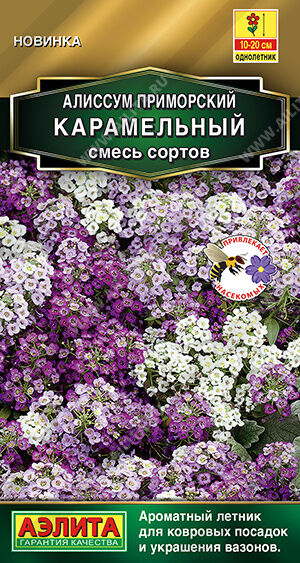 Алиссум Карамельный, смесь сортов