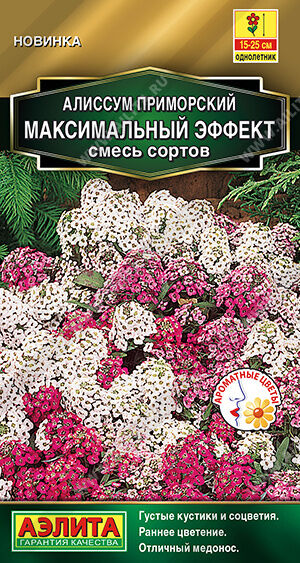 Алиссум Максимальный эффект, смесь сортов