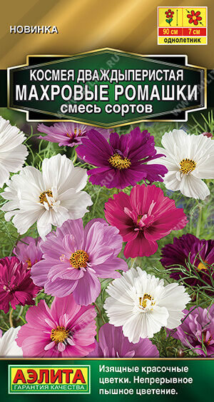 Космея Махровые ромашки, смесь сортов