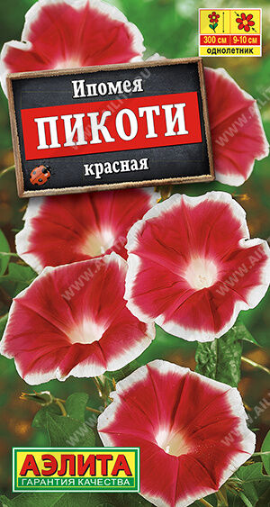 И п о м е я Пикоти красная