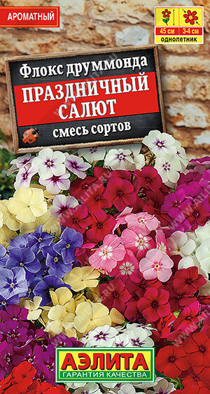 Флокс Праздничный салют, смесь сортов