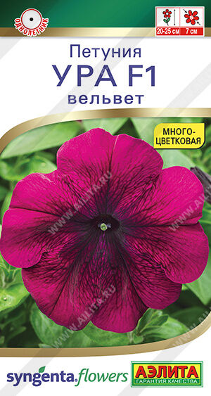 Петуния Ура вельвет (Код: 91804)
