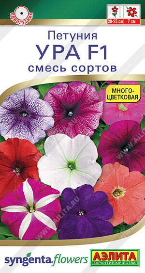Петуния Ура (смесь) сортов (Код: 91807)