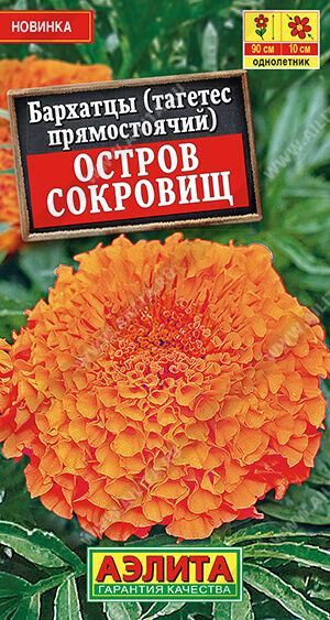 Бархатцы Остров сокровищ прямостоячие