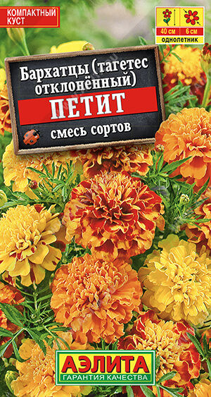 Бархатцы Петит отклоненные, смесь сортов