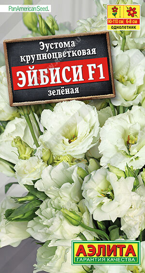 Эустома Эйбиси F1 зеленая крупноцветковая махровая