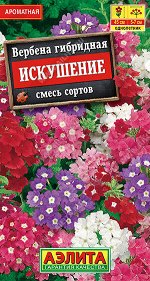 Вербена Искушение, смесь сортов