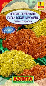 Целозия серебристая Гигантские кружева, смесь окрасок