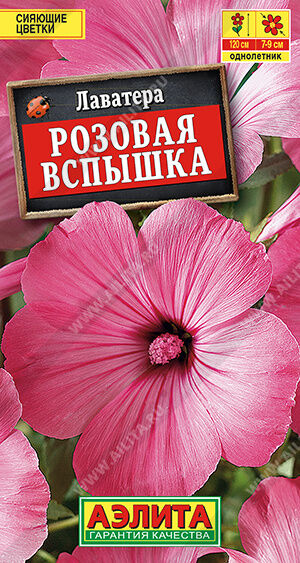 Лаватера Розовая вспышка