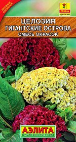 Целозия серебристая Гигантские острова, смесь окрасок