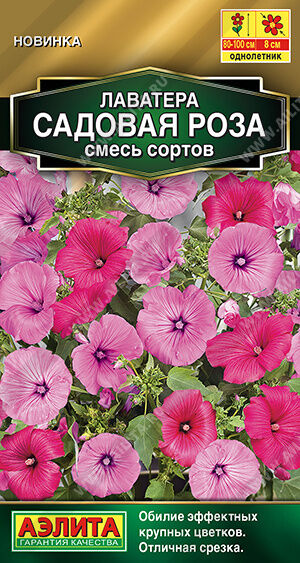 Лаватера Садовая роза, смесь сортов