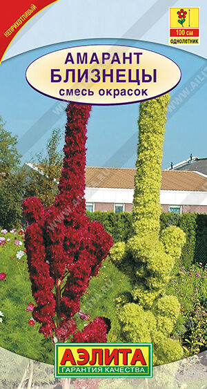 Амарант Близнецы, смесь окрасок