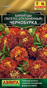 Бархатцы Чернобурка отклоненные