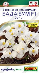 Бегония Бада бум F1 белая